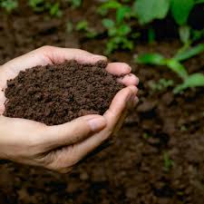 Premium Potting Soil Mix | Ready-to-Use Blend of Garden Soil, Cocopeat, Perlite & Vermicompost