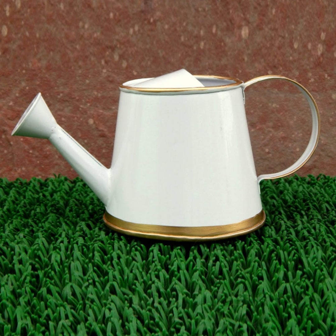Mini Plant Watering Can 250ml | Desktop Planter