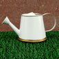 Mini Plant Watering Can 250ml | Desktop Planter