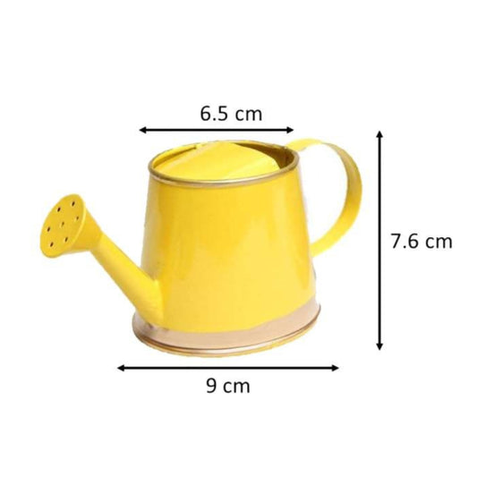 Mini Plant Watering Can 250ml | Desktop Planter