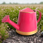Mini Plant Watering Can 250ml | Desktop Planter