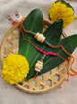 Plantable Seed Rakhi | Eco-Friendly Bamboo Rakhi with Seeds | Handmade by Tribal Women | Grow a Plant After Raksha Bandhan