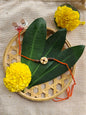 Plantable Seed Rakhi | Eco-Friendly Bamboo Rakhi with Seeds | Handmade by Tribal Women | Grow a Plant After Raksha Bandhan