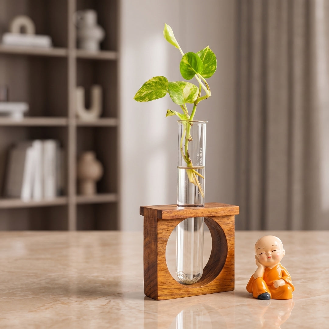 Wooden Test Tube Planter (Single Tube) with assorted Mini Monk