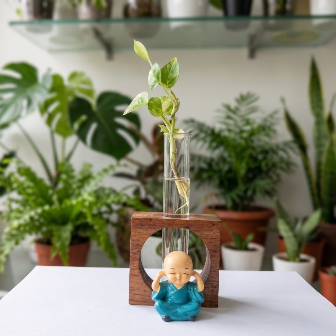Wooden Test Tube Planter (Single Tube) with assorted Mini Monk