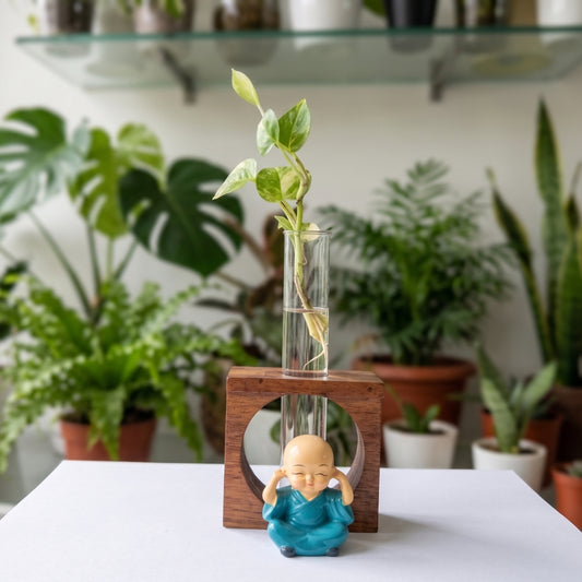 Wooden Test Tube Planter (Single Tube) with assorted Mini Monk