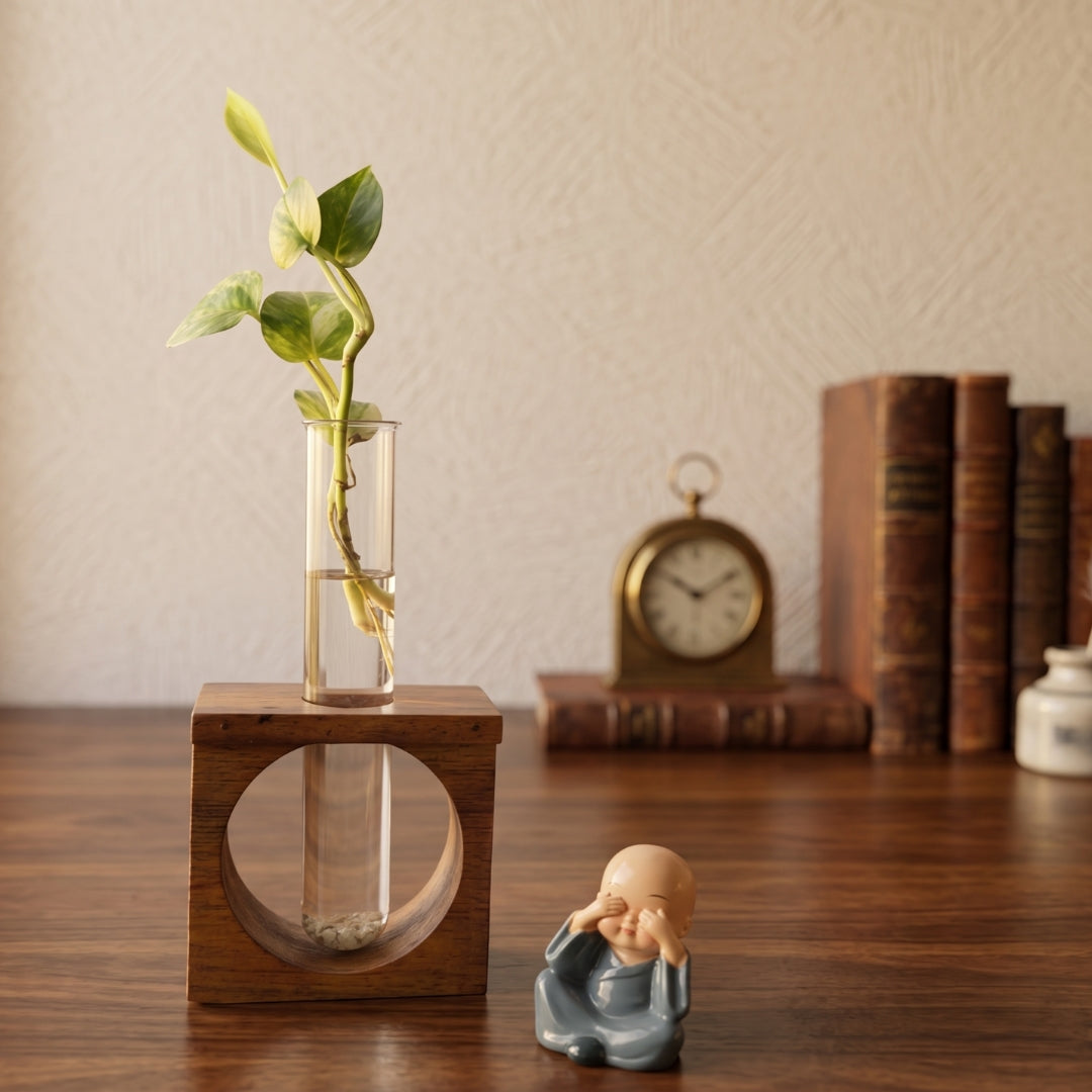 Wooden Test Tube Planter (Single Tube) with assorted Mini Monk