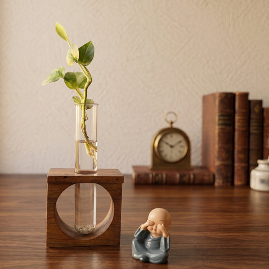 Wooden Test Tube Planter (Single Tube) with assorted Mini Monk