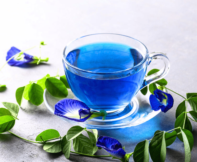 DIY Butterfly Pea (Aparajita) Flower Growing Kit | Grow Blue Tea Flowers at Home